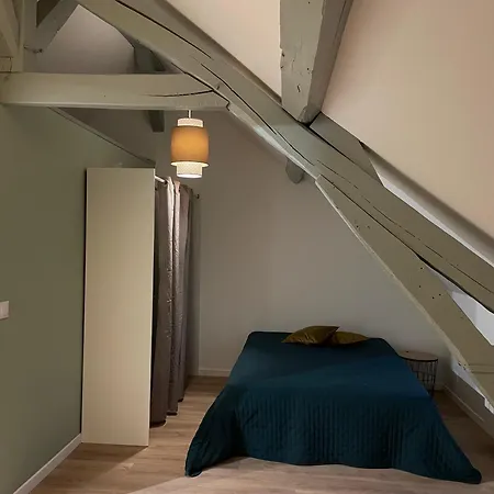公寓 Duplex Dans Le Triangle D'or